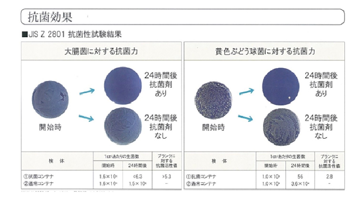 半永久的に効果が持続する抗菌剤入り食品コンテナー | Youki Style