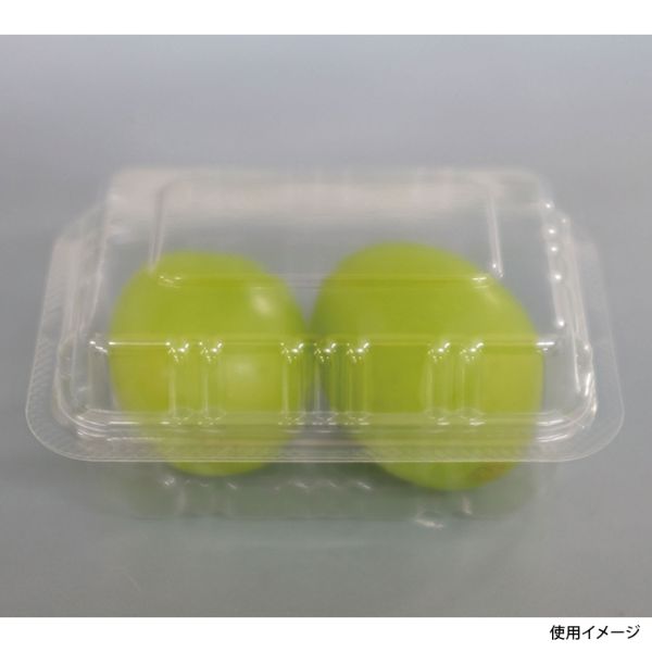 直販アウトレット 【セット】ウツミリサイクルシステムズ 野菜・果物用