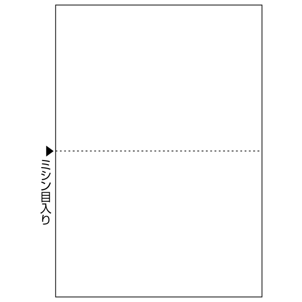 プリンター用紙 マルチプリンタ帳票(エコノミープライス) A4 白紙 2面